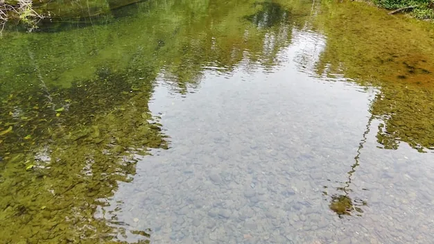 Still water surface over a well-kept garden pond