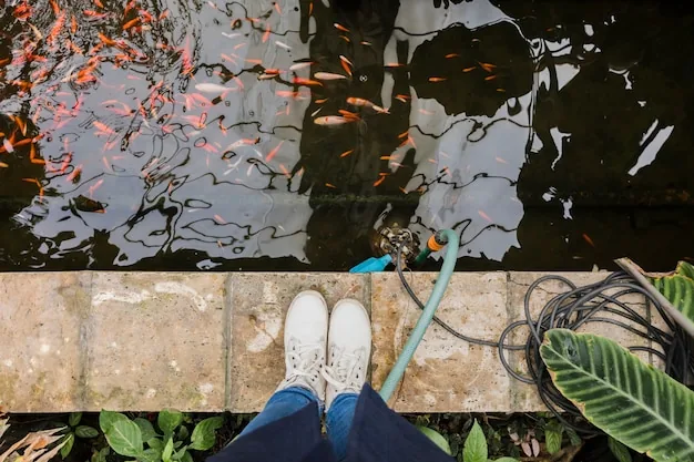 Pond filter media being rinsed during a service