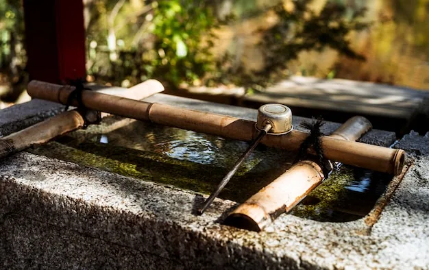 Bamboo spout feeding a stone water basin in a Japanese garden