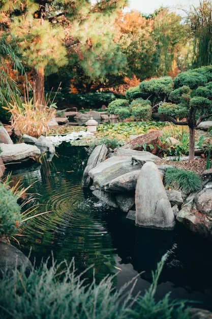 Cross-section view of a calm garden pond with clear water