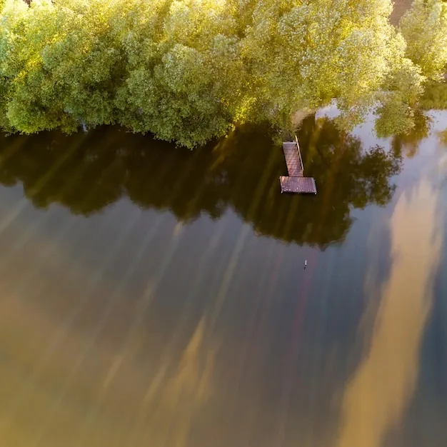 Layered cross-section light over a quiet garden pond